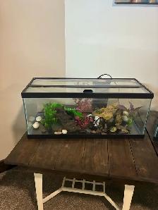 Aquarium