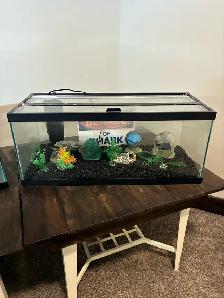 Aquarium - Photo 2
