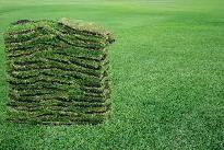 Premium Sod Installation - $2/sq ft (Triple Mix Included!)
