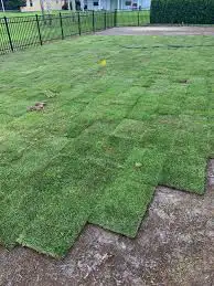 Complete Lawn Replacement Service | $2 Per Square Foot