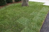 Complete Lawn Replacement Service | $2 Per Square Foot - Photo 2