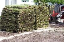 Fresh Turf & Triple Mix Topsoil – Only $2/sq ft Installed