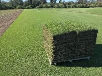 Fresh Turf & Triple Mix Topsoil – Only $2/sq ft Installed - Photo 2