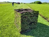 Fresh Turf & Triple Mix Topsoil – Only $2/sq ft Installed - Photo 3