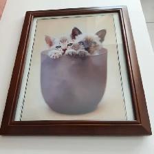 BEAU CADRE VITRÉ 10'x12' MONTRANT 2 CHATS AUX YEUX BLEUS: $15.00