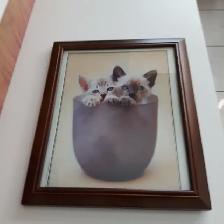 BEAU CADRE VITRÉ 10'x12' MONTRANT 2 CHATS AUX YEUX BLEUS: $15.00 - Photo 3