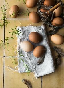 farm fresh eggs for sale !
