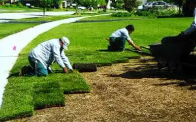 Low-Cost Turf Replacement | $2 Sq Ft All-In Rate