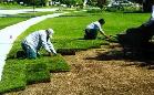 Low-Cost Turf Replacement | $2 Sq Ft All-In Rate