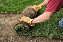 Low-Cost Turf Replacement | $2 Sq Ft All-In Rate - Photo 2