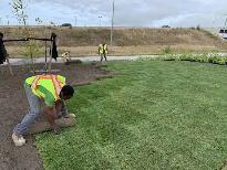 Low-Cost Turf Replacement | $2 Sq Ft All-In Rate - Photo 3