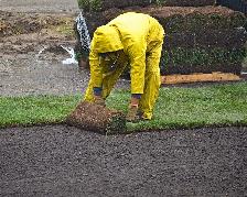 Low-Cost Turf Replacement | $2 Sq Ft All-In Rate - Photo 4
