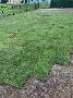 Kings Way Sod Installers: $2/sq ft (Soil Base Included)