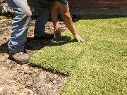 Kings Way Sod Installers: $2/sq ft (Soil Base Included) - Photo 3