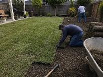 Kings Way Sod Installers: $2/sq ft (Soil Base Included) - Photo 4