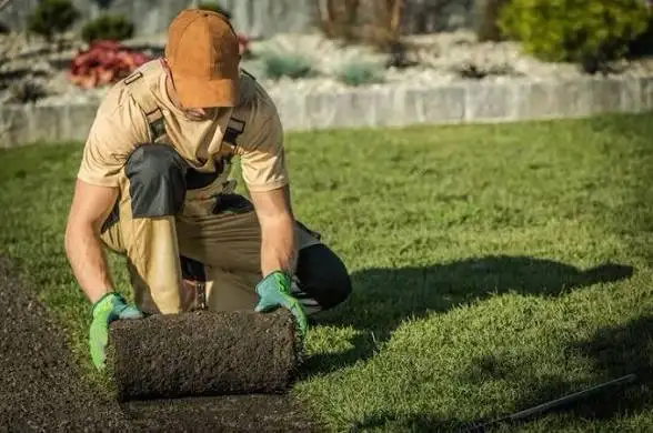 Fast Lawn Re-Sodding – $2/sq ft All-Inclusive Price