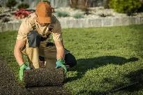 Fast Lawn Re-Sodding – $2/sq ft All-Inclusive Price