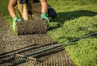 Fast Lawn Re-Sodding – $2/sq ft All-Inclusive Price - Photo 2
