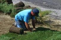 Fast Lawn Re-Sodding – $2/sq ft All-Inclusive Price - Photo 4