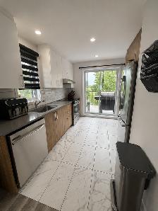 APPARTEMENT 51/2 ste madeleine - Photo 5