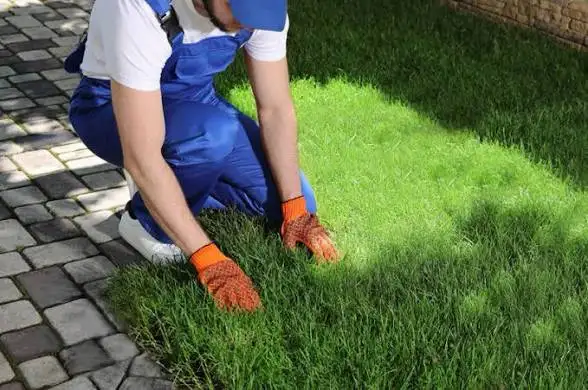 Yard Makeovers by Kings Way – $2.00/sq ft (Free Prep Soil)