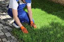 Yard Makeovers by Kings Way – $2.00/sq ft (Free Prep Soil)