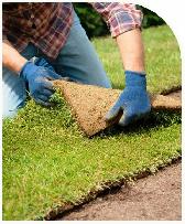 Yard Makeovers by Kings Way – $2.00/sq ft (Free Prep Soil) - Photo 3