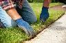 Yard Makeovers by Kings Way – $2.00/sq ft (Free Prep Soil) - Photo 4