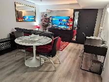 FULLY FURNISHED PRIVATE APARTMENT NORTH YORK - Photo 9