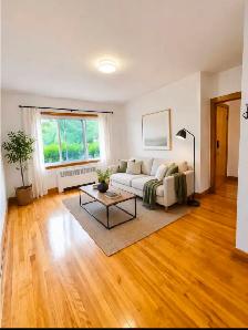 GRAND APART 3 BEDROOM 2 BATHROOM NEAR METRO JOLICOEUR - Photo 2