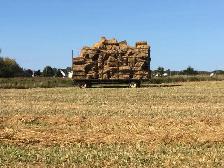 Square bales of straw for sale