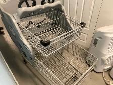 RTS Pro Series Kids Shopping Cart - Photo 4