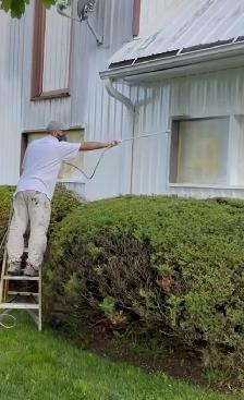 painting team available
