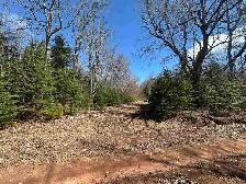 25 Wooded Acres Lyndale PEI MLS# 202608771 - Photo 5