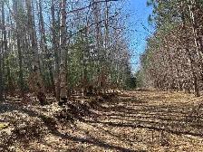 25 Wooded Acres Lyndale PEI MLS# 202608771 - Photo 6