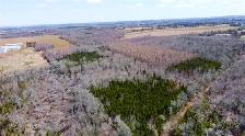 25 Wooded Acres Lyndale PEI MLS# 202608771 - Photo 7