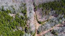 25 Wooded Acres Lyndale PEI MLS# 202608771 - Photo 9