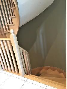 Basement Room for Rent -$800 - Near Finch Subway Station - Photo 8
