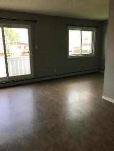 Bi-Level Spacious 4 Plex in Bowden - Photo 4
