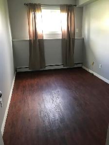 Bi-Level Spacious 4 Plex in Bowden - Photo 9