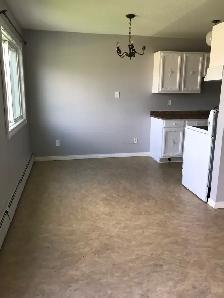 Bi-Level Spacious 4 Plex in Bowden - Photo 14