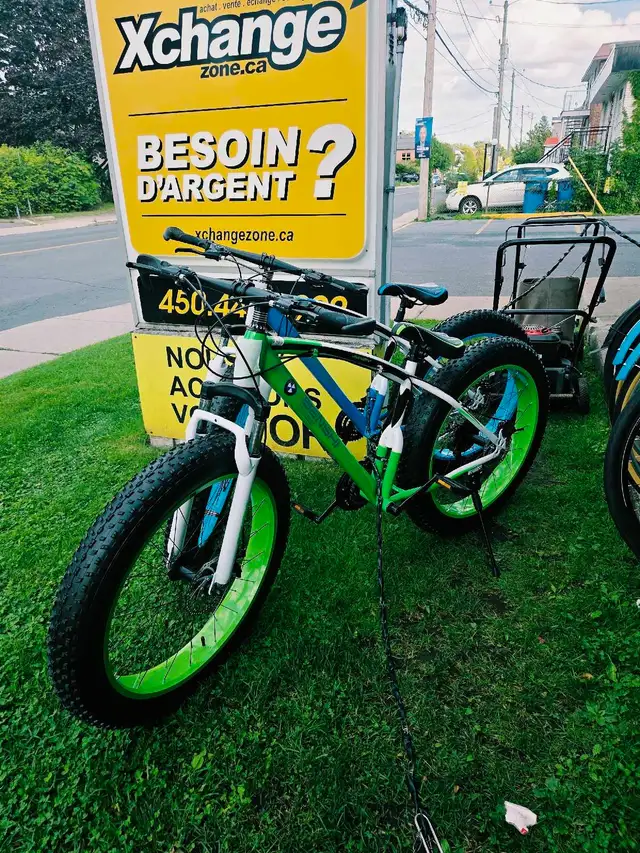 Fat bike
