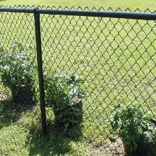 6FT Height Chain Link Mesh Fencings Galvanized - Photo 8