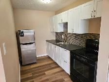 1 bedroom apartment 2115 7th Street E. $1,150.00 - Photo 2