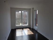 1 Bedroom Condo for Rent Queen Mary (Snowden Metro): - Photo 5