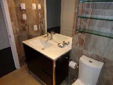 1 Bedroom Condo for Rent Queen Mary (Snowden Metro): - Photo 10