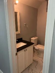 Large Basement for Rent - Bramalea & Countryside Rd. - Photo 8