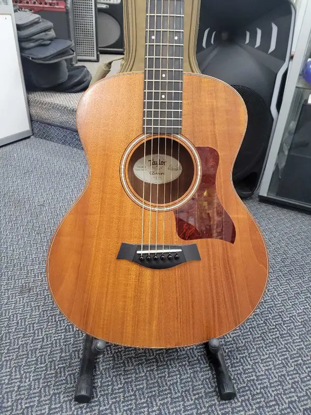 Taylor GS Mini 3/4 Acoustic Guitar w/Carrying Bag