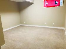 one bedroom basement - Photo 4