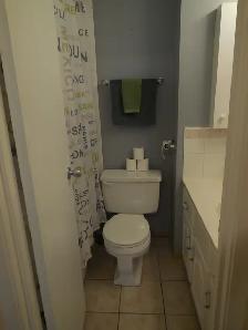 THREE-BEDROOM TOWN HOME FOR RENT - ST. BONIFACE - Photo 7